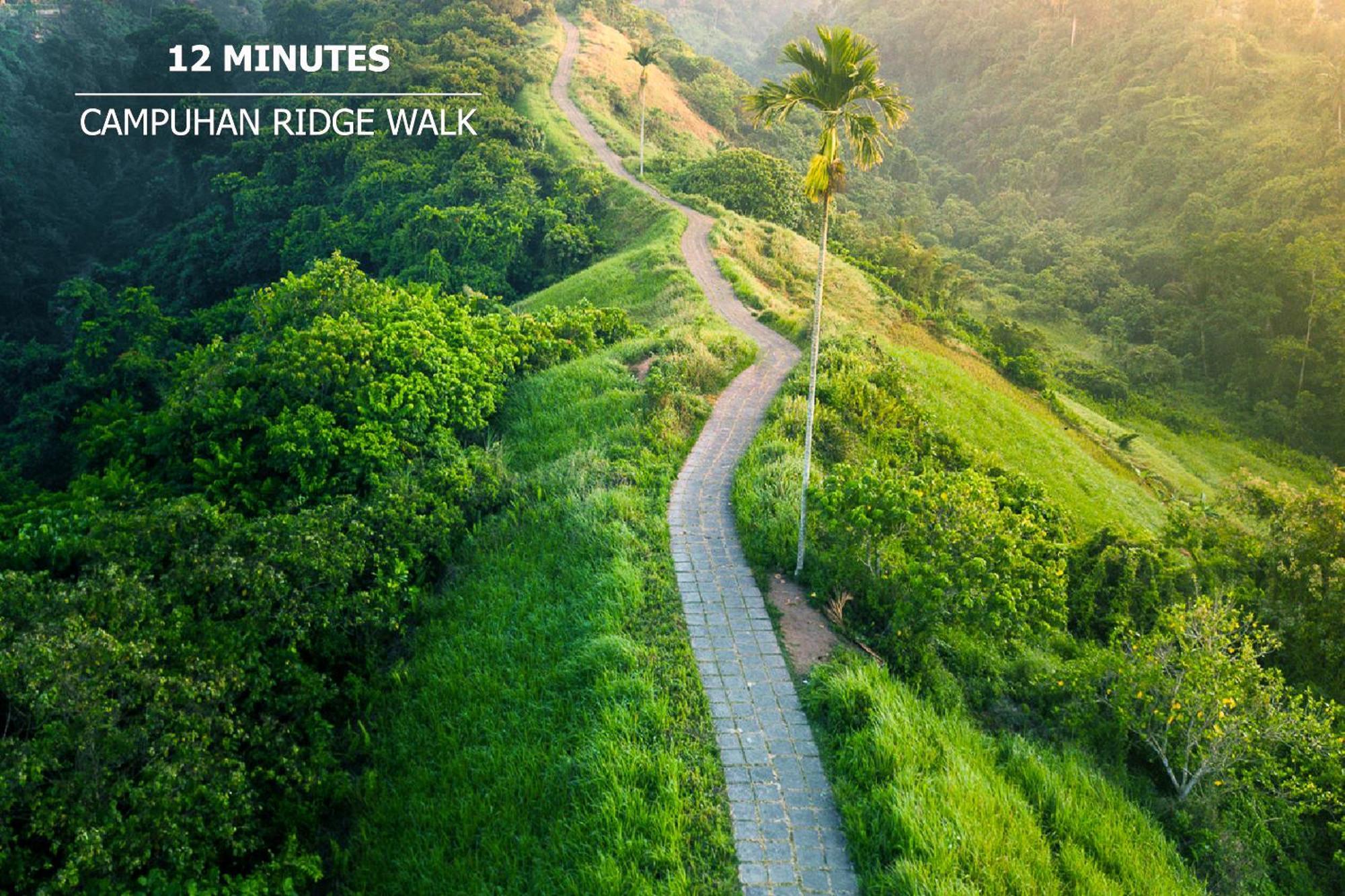 Green Flow Ubud Villas III エクステリア 写真