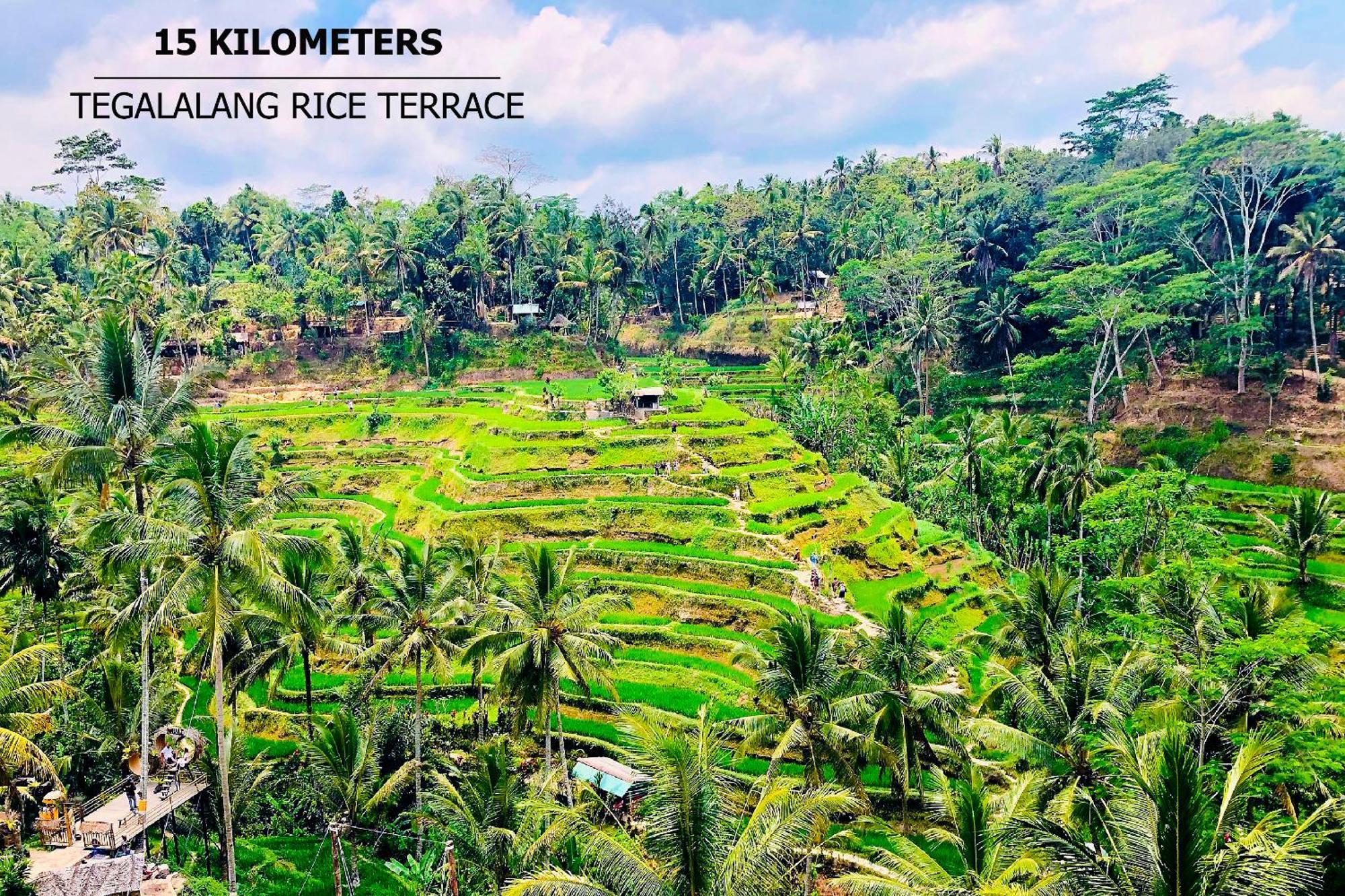 Green Flow Ubud Villas III エクステリア 写真