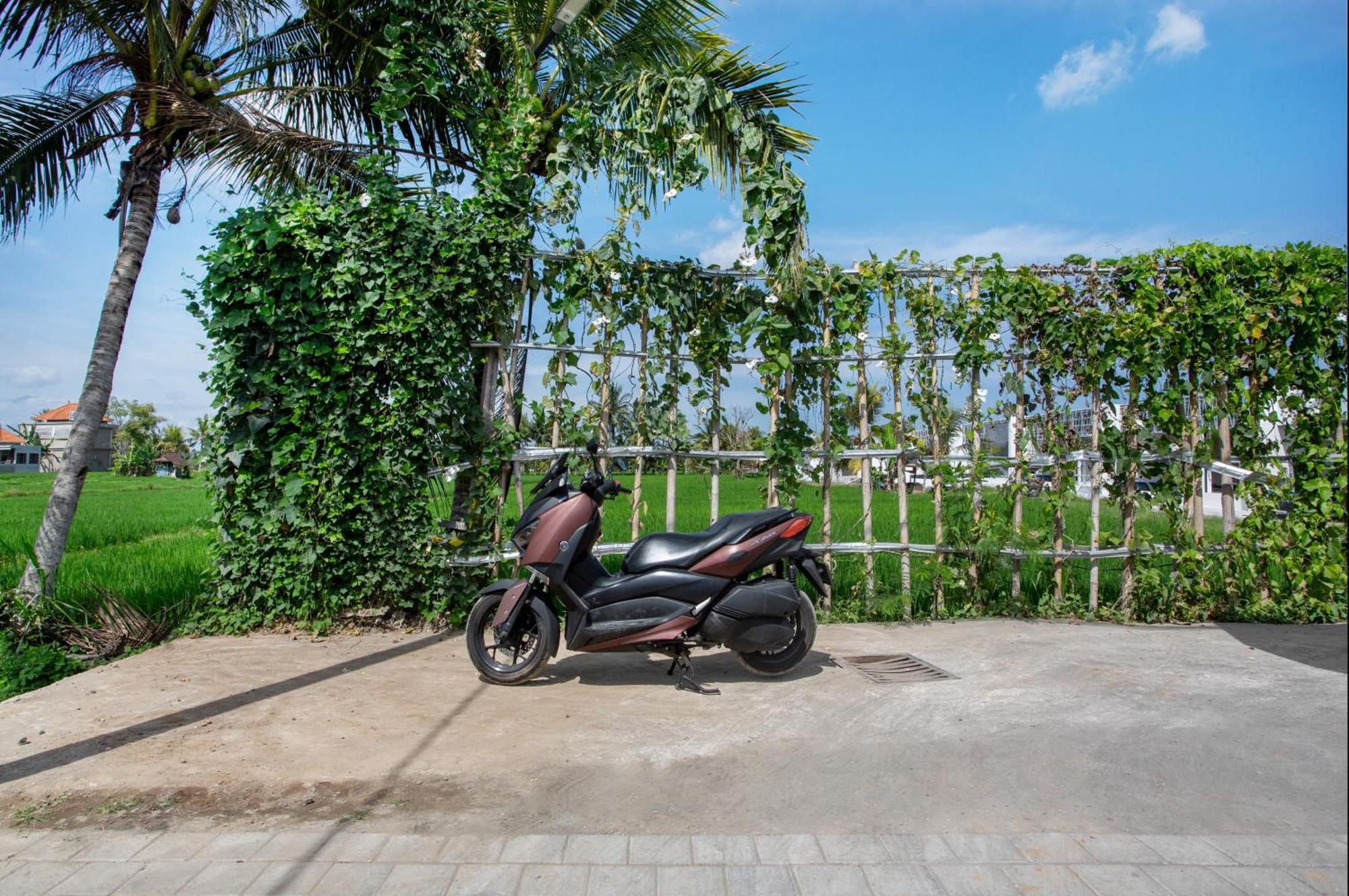 Green Flow Ubud Villas III 部屋 写真