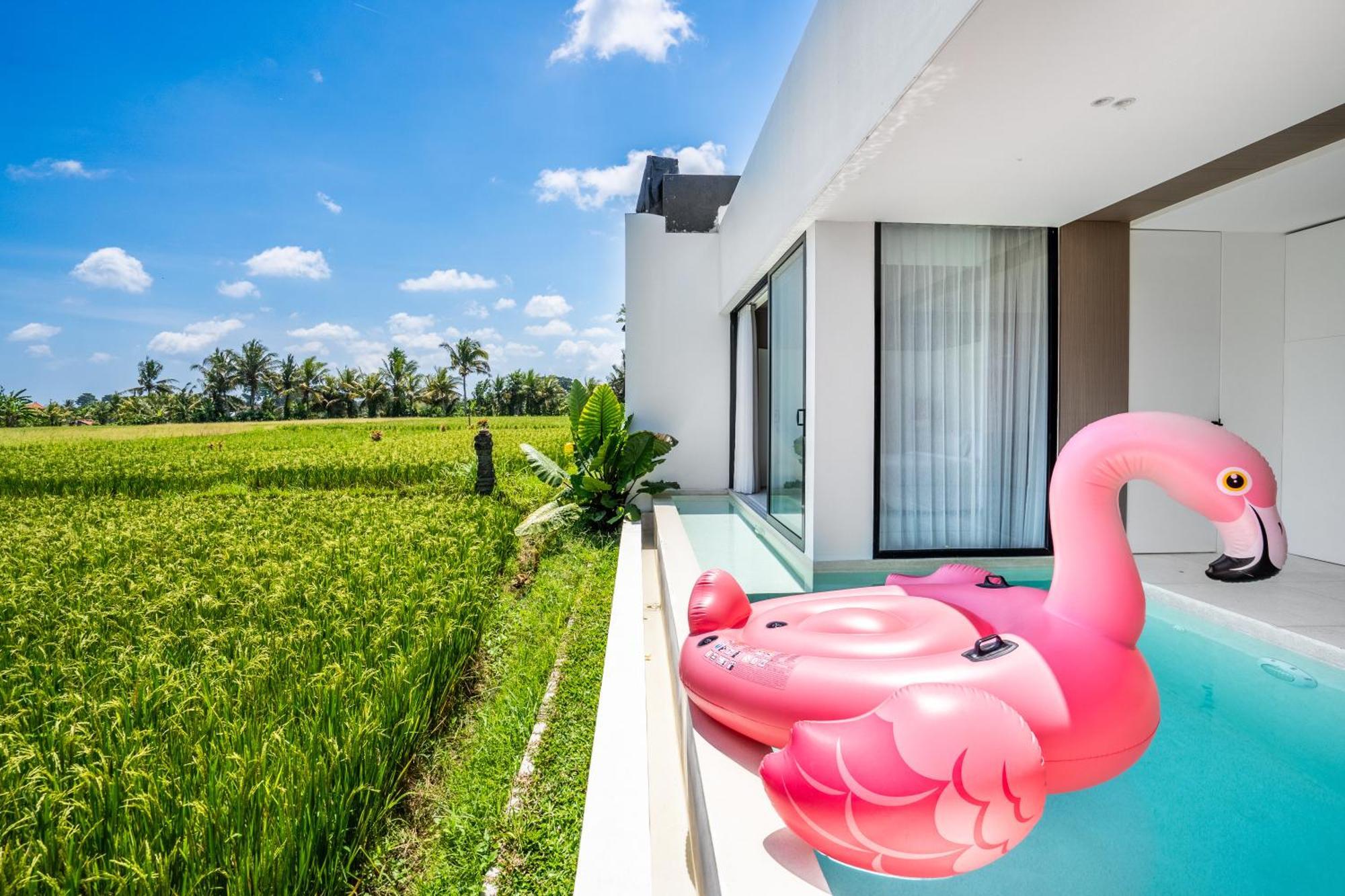 Green Flow Ubud Villas III エクステリア 写真