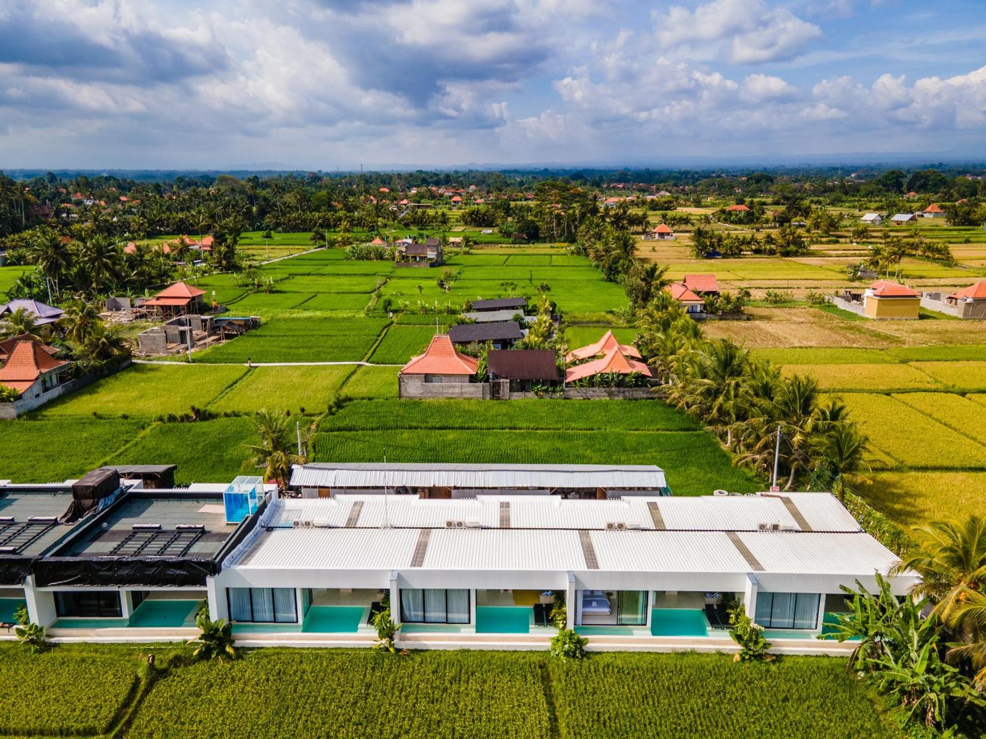Green Flow Ubud Villas III 部屋 写真